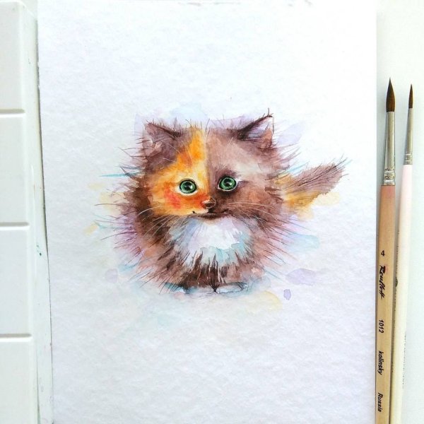 Евгения Соловьева художница иллюстрации