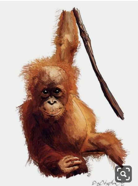 Обезьянка рисунок акварель