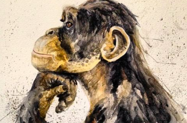 Обезьяна рисунок акварель