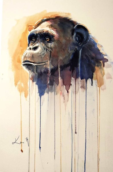 Обезьяна акварелью