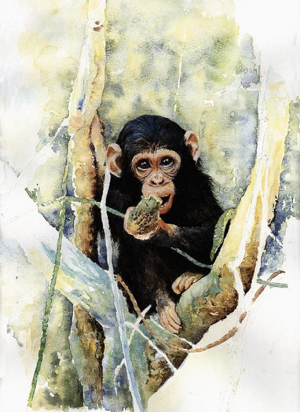 Обезьяны в живописи