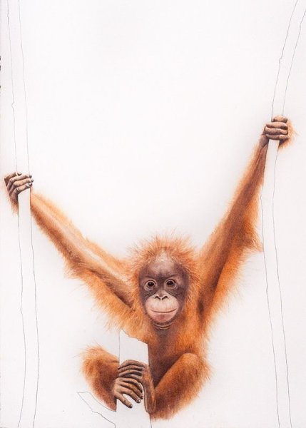 Обезьянка акварель