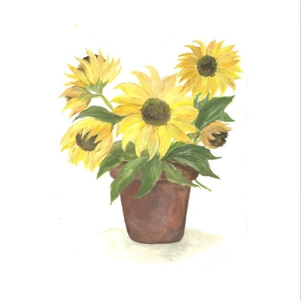 Подсолнухи в глиняном горшке