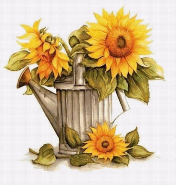 Осенние цветы в лейке