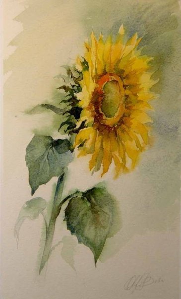 Цветы акварелью Подсолнухи