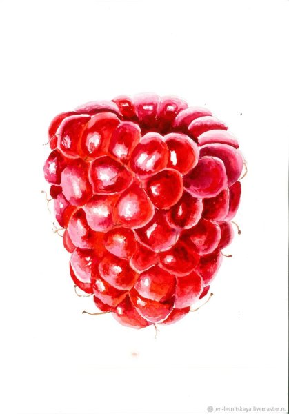 Малина акварель