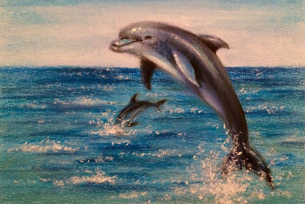 Дельфины живопись