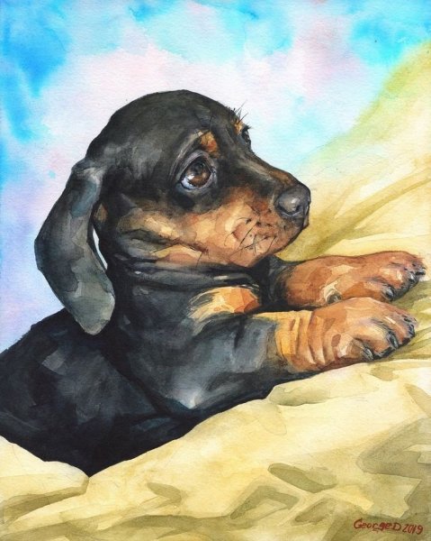 Такса акварелью