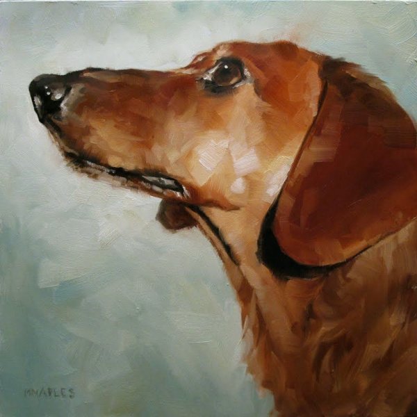 Такса акварельными карандашами