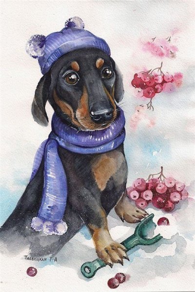 Иллюстрации Татьяна Пловецкая собака