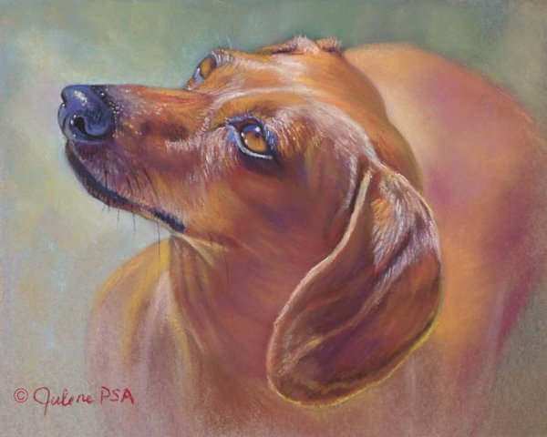 Рыжая такса акварелью