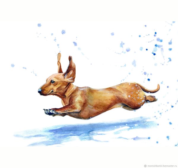 Такса акварелью