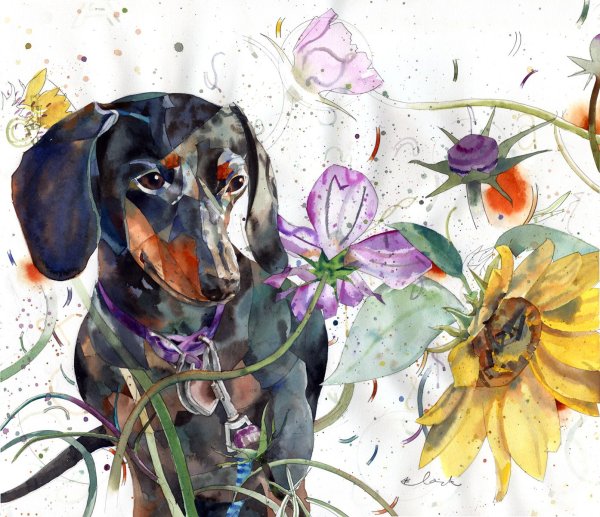 Акварель с днем рождения такса