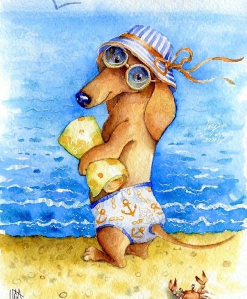 Инга Измайлова иллюстрации таксы