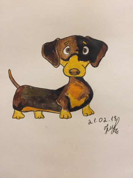 Такса набросок