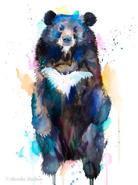 Медведь акварелью