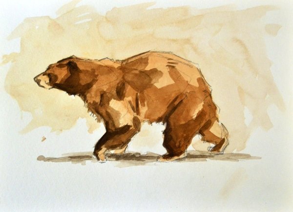Бурый медведь гуашью