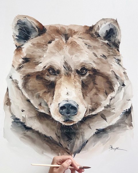 Медведь акварелью