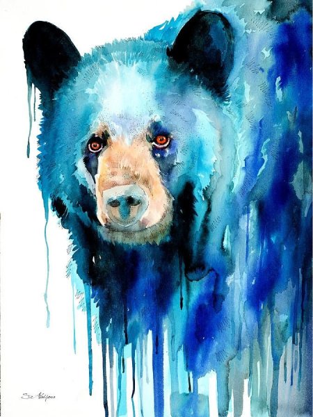 Медведь акварелью