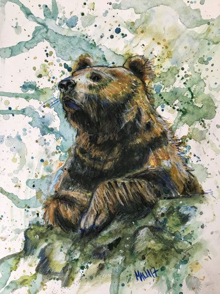 Медведь акварелью