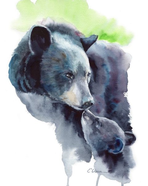 Бурый медведь акварель