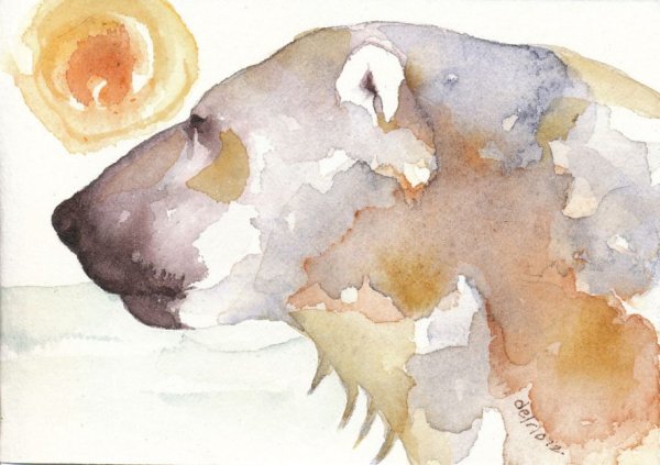 Медведь красками