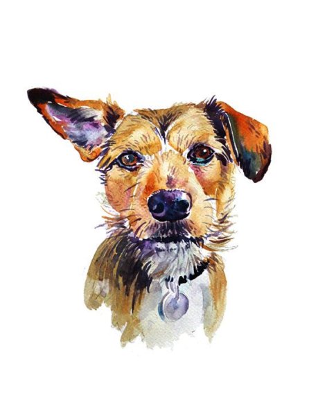 Красивые собаки акварелью