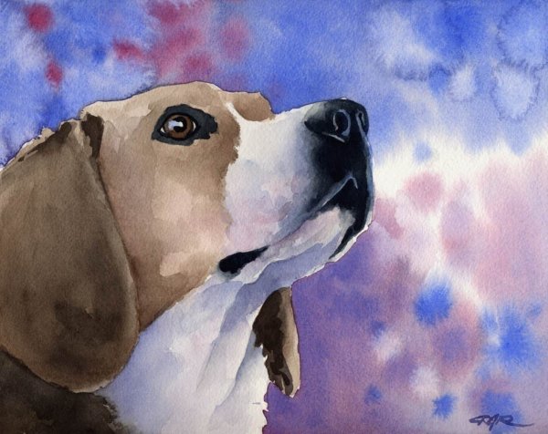 Собака акварелью