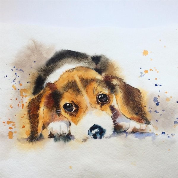 Собачка красками для детей