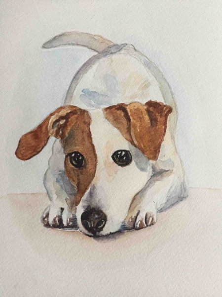 Золотистый ретривер акварелью