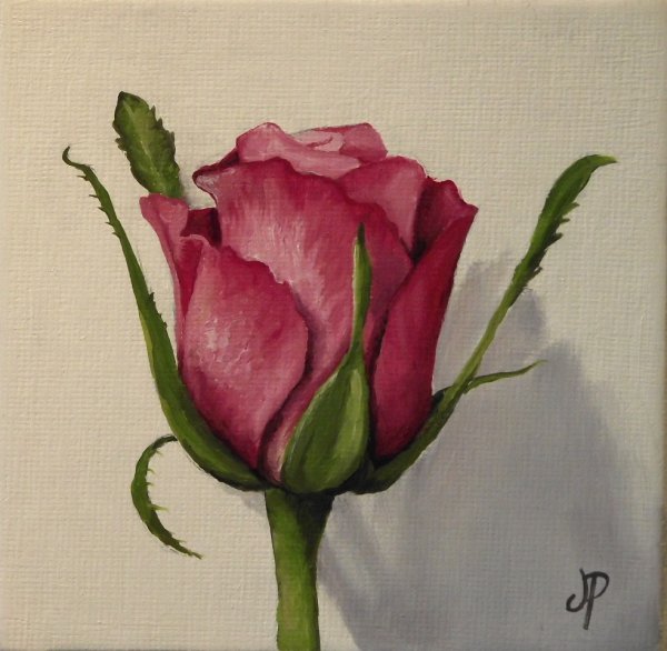 Роза акварельными карандашами