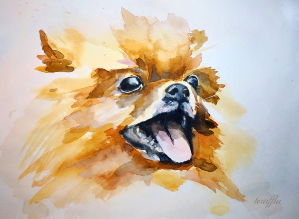 Рисунки животных акварелью