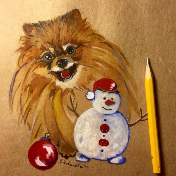 Новогодний шпиц рисунок