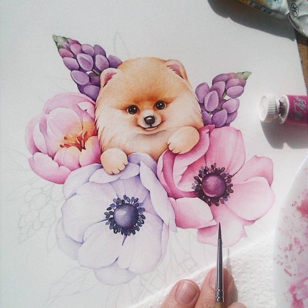 Скетчинг шпиц