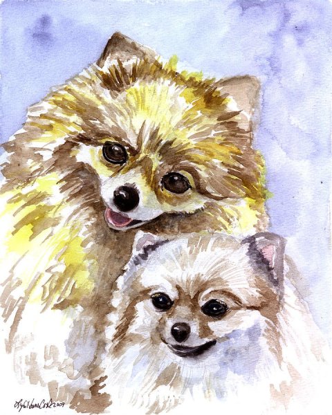 Шпиц акварелью