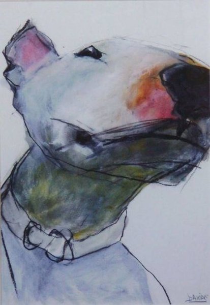 Бультерьер нарисованный акварель