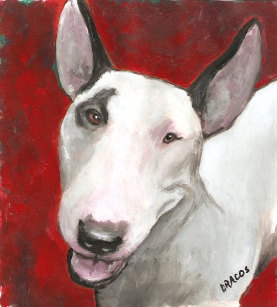 Старшаврильский бультерьер