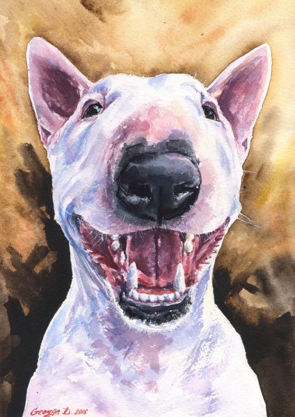 Бультерьер арт злой