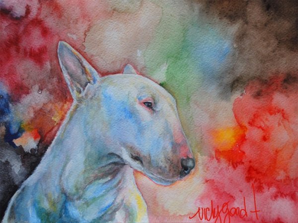 Рисование по номерам бультерьер