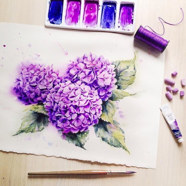 Сиреневые цветы красками