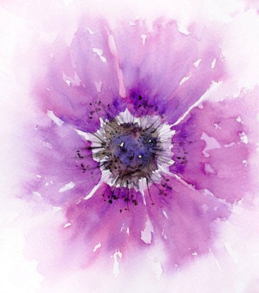 Сиреневые цветы акварель