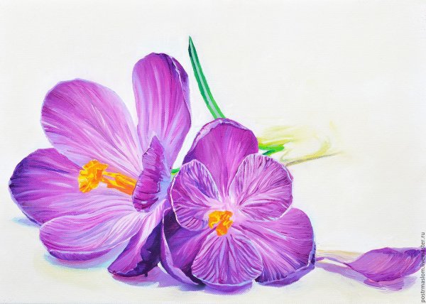 Рисование фиолетовых цветов