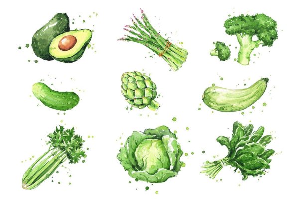 Зеленые овощи рисунок