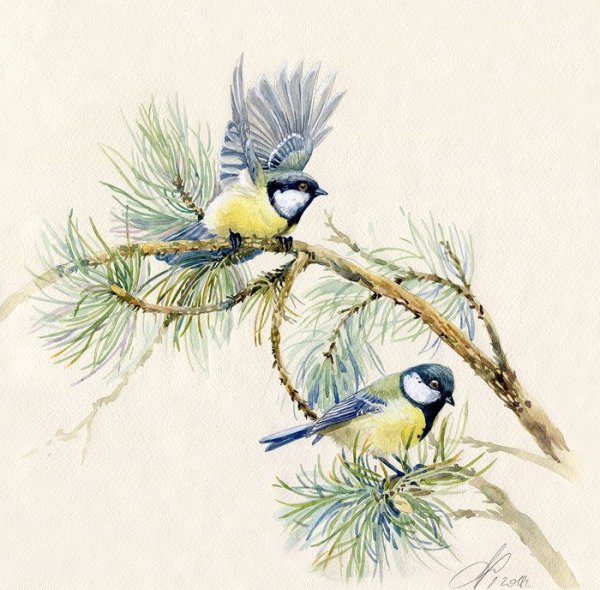 Алина Сканцева художник Снегирь