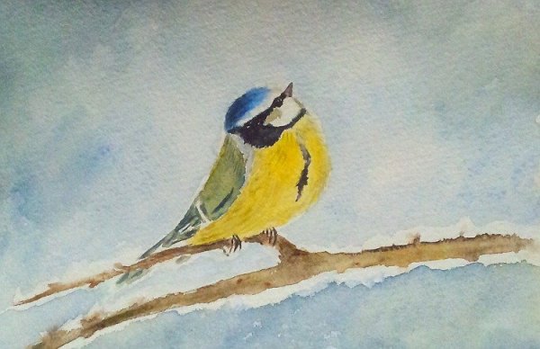 Синичка красками для детей