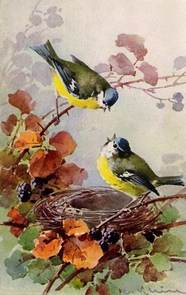 Катарина Кляйн синицы