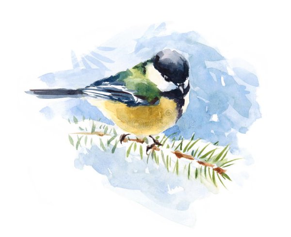 Синичка на рябине