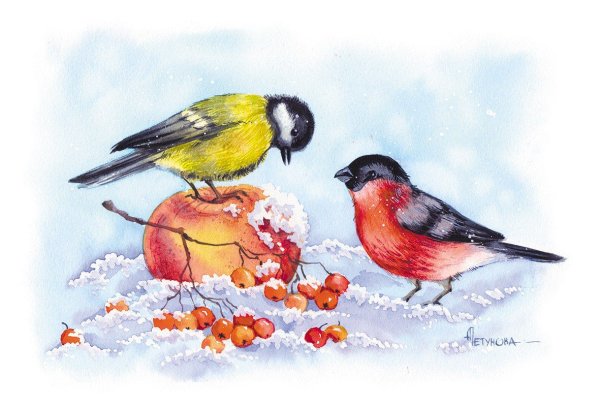 Анна Петунова Снегирь