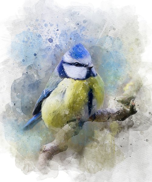 Синичка акварелью