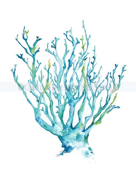 Водоросли акварель